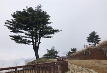 百里荒旅游度假区第 58 张图片