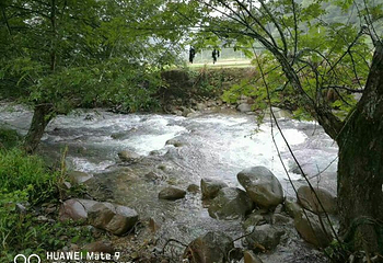 西海观湖岛第 18 张图片