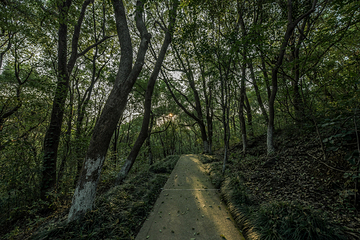 江南水乡赭山温泉第 13 张图片