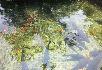 福州动物园第 24 张图片