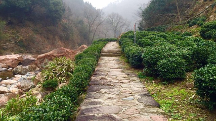 红石谷风景区第 15 张图片