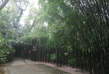 北海大江埠第 39 张图片