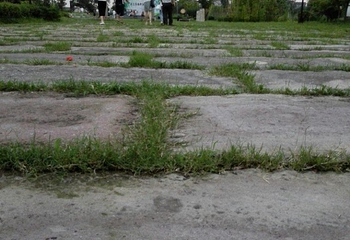 南京杨柳湖风景区第 16 张图片