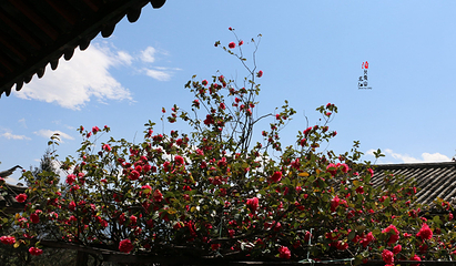 玉峰寺第 14 张图片