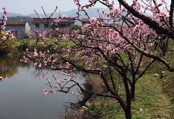 大龙门景区第 23 张图片
