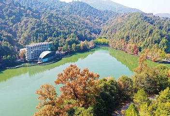 阳明山国家森林公园第 36 张图片