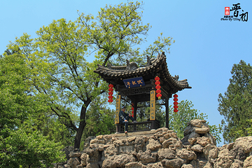 晋祠博物馆第 382 张图片