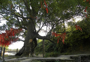 董永故里第 2 张图片