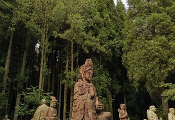 武陵山国家森林公园第 70 张图片