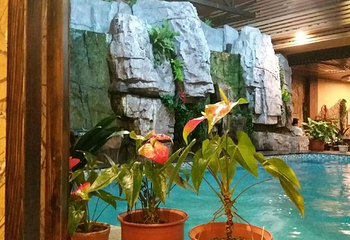 御麓泉温泉第 19 张图片