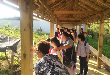 长白山一山一蓝温泉餐厅第 8 张图片