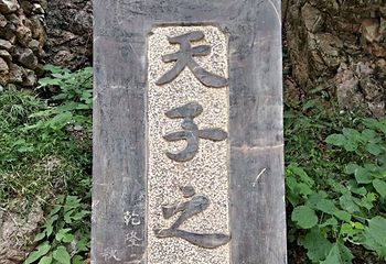 绿林寨景区第 14 张图片