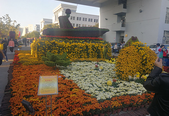 上海大学第 6 张图片