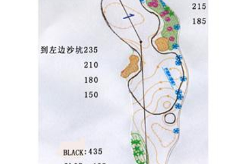国际高尔夫俱乐部第 5 张图片