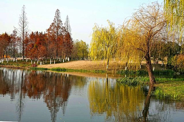 玄武湖景区-情侣园第 5 张图片