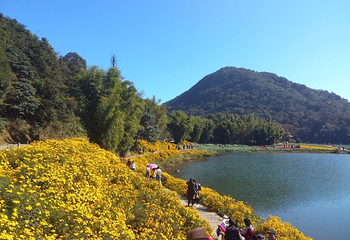 石门国家森林公园第 45 张图片