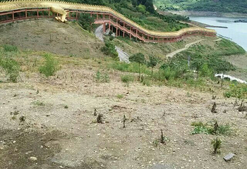 飞龙湖第 6 张图片