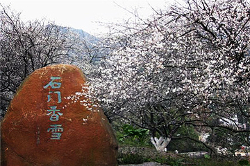 石门国家森林公园第 50 张图片