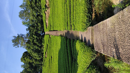 石鹅湖第 24 张图片