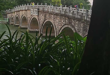 寸金桥公园第 24 张图片