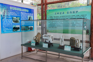观音山旅游风景区第 13 张图片