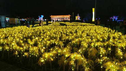 2019盘锦辽河湿地国际灯会第 5 张图片