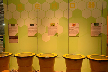 湖南省科技馆第 5 张图片