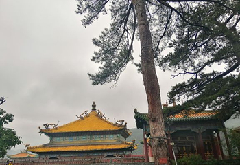 普陀宗乘之庙第 104 张图片
