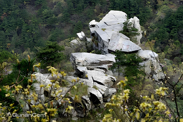 庐山风景名胜区第 51 张图片
