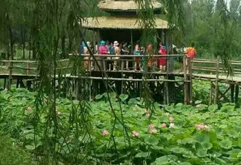野草河湿地风景区第 9 张图片