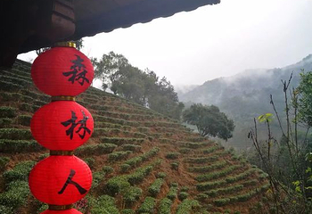 九鹏溪第 40 张图片