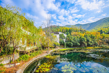 南山竹海古街第 23 张图片