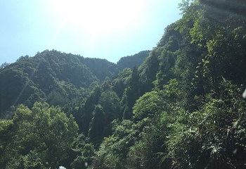 淡竹休闲谷第 21 张图片