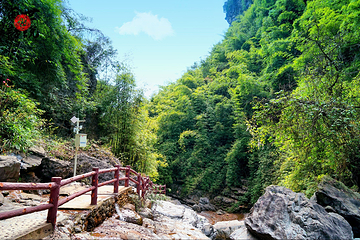 华蓥山天意谷景区第 27 张图片