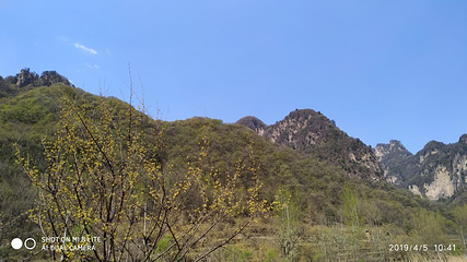 蟒河生态旅游区第 55 张图片