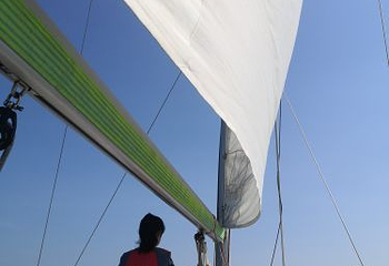 厦门国际游艇汇第 6 张图片