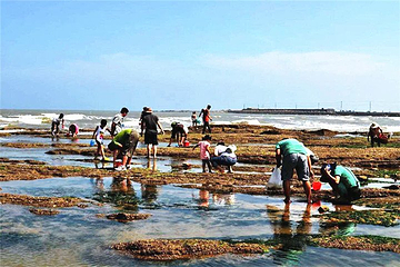 李家台民俗旅游度假村第 3 张图片