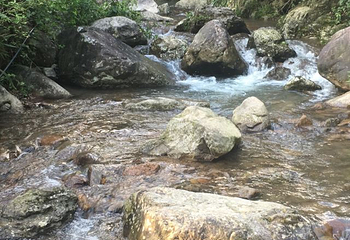 九龙峡冷泉谷景区第 34 张图片
