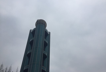 华西龙希大酒店观光区第 23 张图片