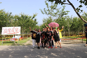 星火花海第 29 张图片