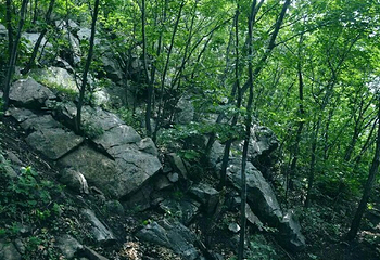 大风堡景区第 33 张图片