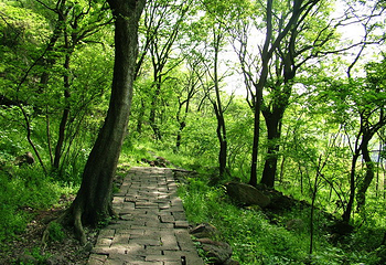 老子山风景区第 3 张图片