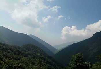 安吉龙王山风景区第 31 张图片
