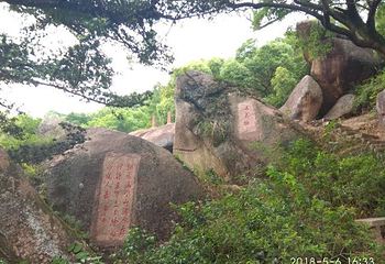 青芝山风景区第 22 张图片