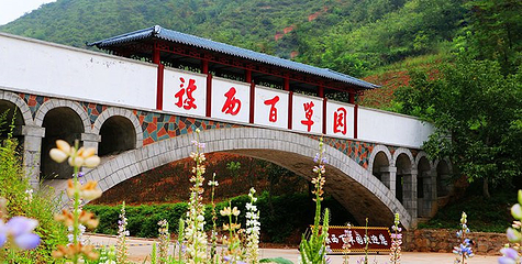 豫西松鹿欢乐谷第 16 张图片
