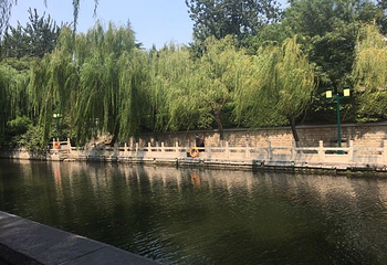 济南市环城公园第 18 张图片
