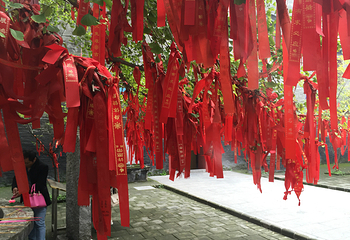 多宝佛塔话珍奇第 11 张图片