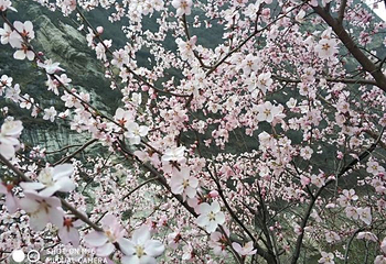亚武山风景名胜区第 10 张图片