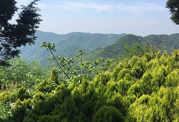 大洪山漂流第 15 张图片