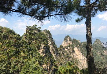 浙江大明山地质公园第 203 张图片